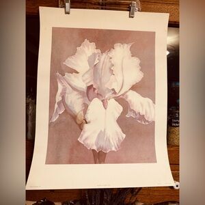 VTG 1984 Robert White “Iris Mist II” Floral Art Litho Print Signed No 752